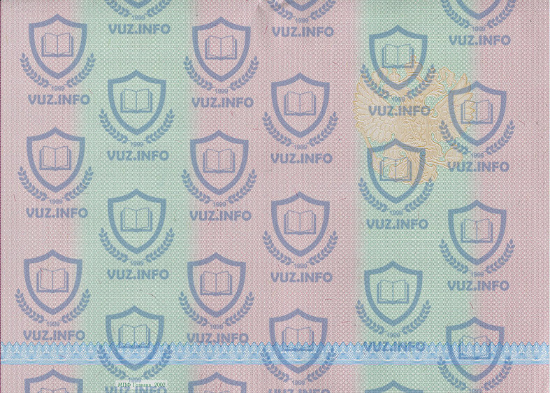 Диплом техникума, колледжа 2002 2003 2004 2005 2006 2007 годов - оборотная сторона