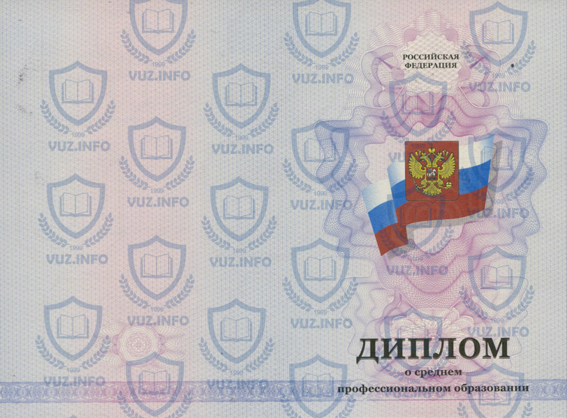 Диплом колледжа, техникума 2011 2012 2013 годов окончания - оборотная сторона